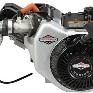 Briggs and Stratton World Formula 11.5 HP 204cc Horizontal Shaft Engine 1243358106W