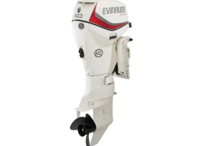 Evinrude E60DPGL